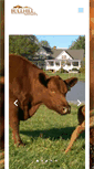 Mobile Screenshot of bullhillredangusranch.com